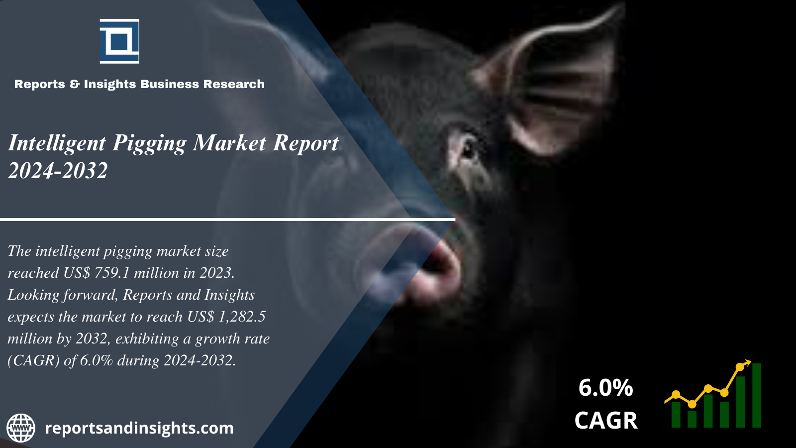 Intelligent Pigging Market Report 2024 to 2032: Share and Size