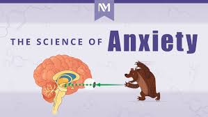 Understanding the Anatomy of Anxiety: Fear or Flight Instinct