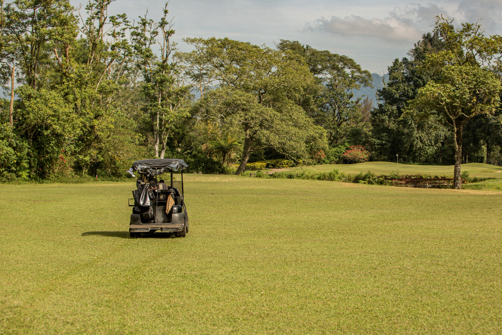 Maximizing Efficiency: The Versatility of Taylor Dunn Tow Tractor